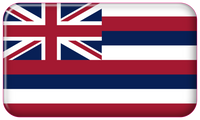 BUBS Flexplate Hawaii State Flag