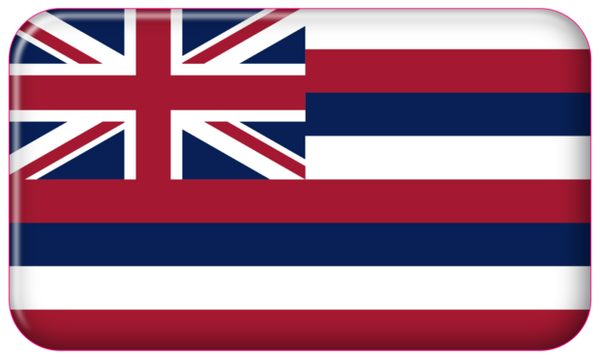 BUBS Flexplate Hawaii State Flag